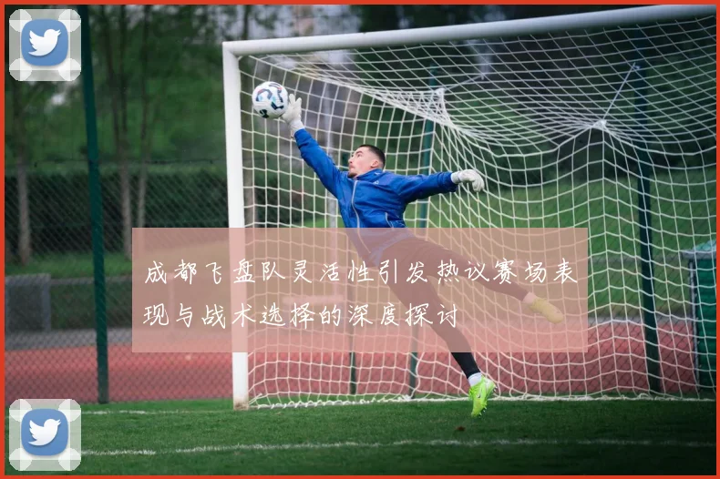 成都飞盘队灵活性引发热议赛场表现与战术选择的深度探讨