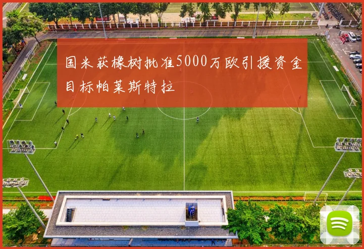 国米获橡树批准5000万欧引援资金目标帕莱斯特拉