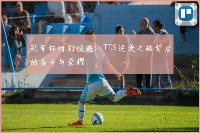 冠军杯特别报道：TES逆袭之路背后的奋斗与荣耀